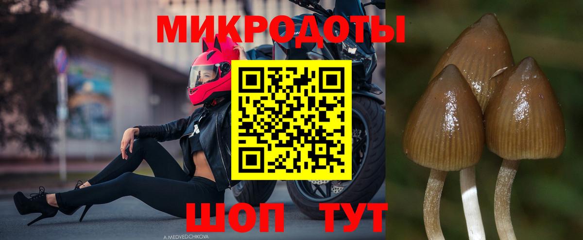Галлюциногенные грибы GOLDEN TEACHER Югорск